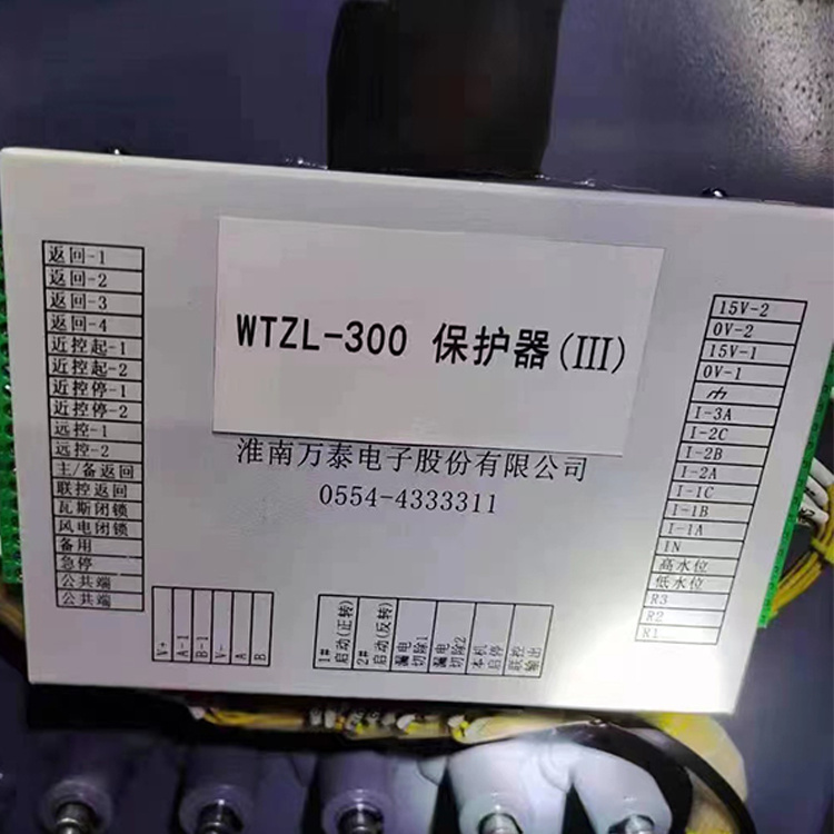 淮南萬泰WTZL-300保護器(III)-1.jpg